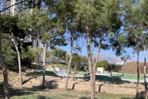 Cs pide actuar ante la presencia de orugas procesionarias en zonas verdes de Benidorm