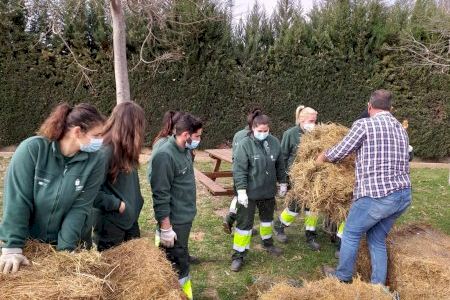Alaquàs participa por segundo año consecutivo en el banco de paja de arroz de la Albufera