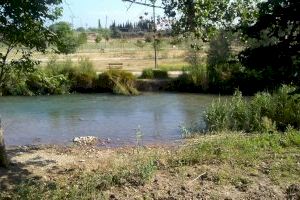 Crean un método para detectar un peligroso contaminante industrial presente en las aguas y causante de algunos tipos de cáncer