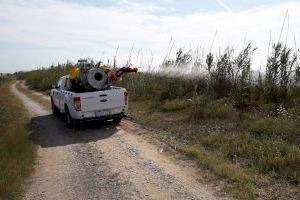 El Ayuntamiento de Xilxes adjudica el contrato para el servicio de control de plagas de mosquitos