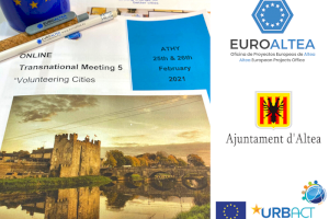 EuroAltea participa en el 5º evento transnacional en Athy, Irlanda