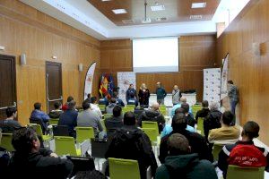 Las competiciones de Pilota Valenciana podrían comenzar el próximo mes de marzo