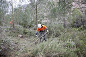 Antella limpia su importante Barranc de la Manyana