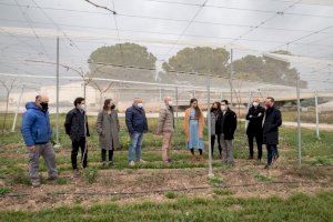 La consellera de Agricultura visita la Finca de la Casa Carlos en Llíria - (foto 2)