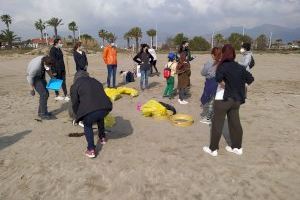 Castelló pone en valor la riqueza natural de sus playas y mejora el ecosistema del chorlitejo en una jornada de voluntariado ambiental