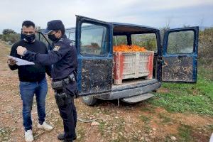 La Policía de la Generalitat detiene a 28 personas en 110 inspecciones durante la segunda campaña de prevención de robos y empleo ilegal en el campo