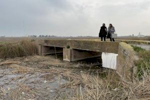 El PPCV denuncia el “estado crítico” de La Albufera por la acumulación de la paja del arroz y mortandad de peces