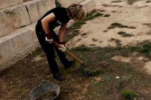 La concejalía de Patrimonio Histórico de la Vila Joiosa realiza trabajos de limpieza y mantenimiento de monumentos - (foto 5)