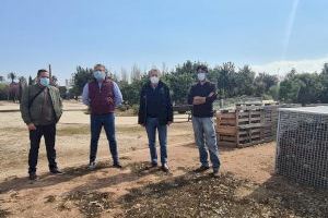 Albal invertirá más de 30.000 euros en rehabilitar el Bosque Mediterráneo y proyecta ampliar su uso como centro de conservación medioambiental - (foto 3) Albal invertirá más de 30.000 euros en rehabilitar el Bosque Mediterráneo y proyecta ampliar su uso como centro de conservación medioambiental - (foto 3)