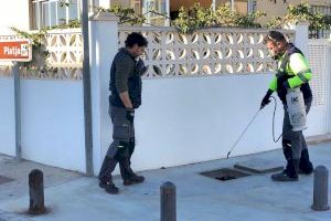 Almassora acumula ya ocho jornadas de fumigación para prevenir mosquitos
