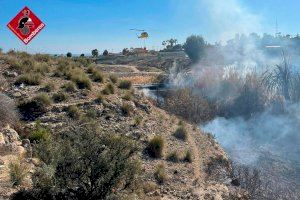 Arden 2.000 metros de cañar en el barranco de Arcos, en Elche