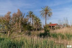 El próximo domingo, 21 de marzo, vuelven las visitas guiadas en La Casa Penya