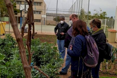 El huerto ecológico del IES de Rafelbunyol