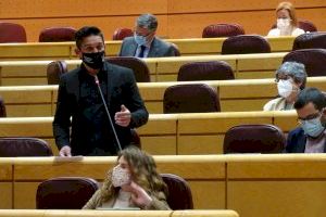 Mulet afea a Escrivá su ‘fracaso’ en la gestión del IMV, “por mentir y por hacer oposición a los valencianos”