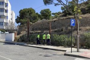 Parques y Jardines ornamenta con nuevas plantas y árboles el paseo de la playa del Paradís