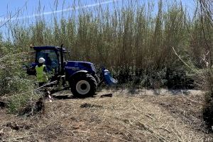 Emergencia Climática destina cerca de 1,3 millones de euros a actuaciones de restauración del bosque de ribera autóctono en el Parque Natural del Turia