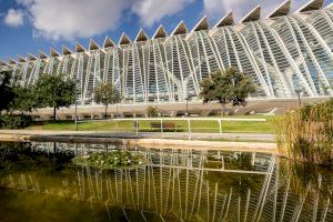 Un proyecto para ventilación anti COVID en las aulas del IES Ramón Llull de València y un generador hidráulico del Colegio CEU San Pablo ganan el concurso escolar 'Acción por clima'