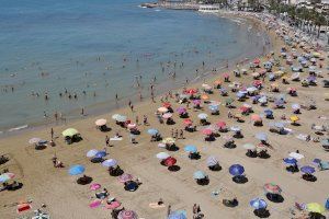 Torrevieja prepara un exhaustivo plan de control de playas y paseos para garantizar la seguridad este verano