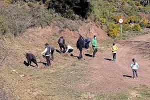 Villanueva de Viver planta vida Villanueva de Viver planta vida