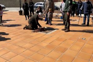 Villanueva de Viver planta vida - (foto 2) Villanueva de Viver planta vida - (foto 2)