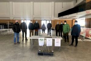 Villanueva de Viver planta vida - (foto 3) Villanueva de Viver planta vida - (foto 3)