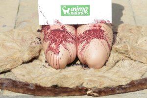 Una activista se queda totalmente desnuda en Alicante para frenar el “asesinato” de animales destinados a la industria peletera - (foto 3)