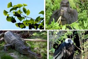 Quantes espècies animals i vegetals estan en perill d'extinció? Quines són?