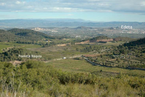 Riba-roja fusiona las visitas culturales y las actividades al aire libre por el Parque Natural del Túria durante la Semana Santa - (foto 6)