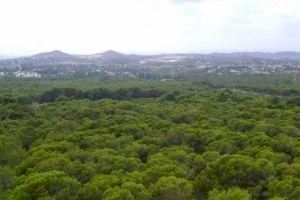 El Partido Popular de Paterna saca adelante la identificación de caminos, barrancos y senderos de nuestro parque natural