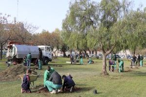 El Colegio San Pedro y el Ciclo Formativo de Conservación del Medio Natural han trabajado conjuntamente en la plantación de árboles en la ciudad