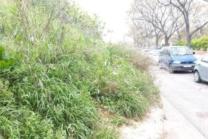 El Ayuntamiento limpia residuos y recorta vegetación del talud de las vías del tren a su paso por Sant Isidre - (foto 2)