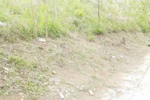 El Ayuntamiento limpia residuos y recorta vegetación del talud de las vías del tren a su paso por Sant Isidre - (foto 3)