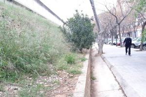 El Ayuntamiento limpia residuos y recorta vegetación del talud de las vías del tren a su paso por Sant Isidre - (foto 4)