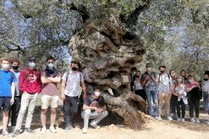 Estudiants americans descobreixen Canet lo Roig