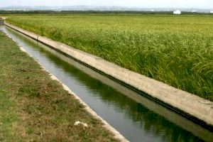 Les Corts exigirán al Gobierno central que la nueva PAC no afecte a los agricultores valencianos