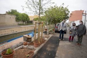 El Ayuntamiento replanta y poda el arbolado de las calles Jesuset de l’Hort y Crist de la Salut del Palmar