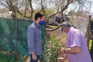 Toledo: “Solucionar las inundaciones de el Bovar y la Molinera cuesta 200.000€. Marco lleva gastados más 500.000€ en reformarse despachos”