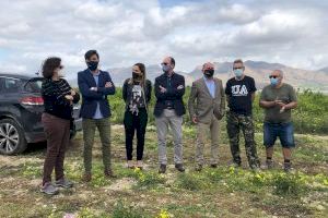 Comienzan las excavaciones en el yacimiento arqueológico de Los Saladares que se convertirá en un centro de interpretación - (foto 2) Comienzan las excavaciones en el yacimiento arqueológico de Los Saladares que se convertirá en un centro de interpretación - (foto 2)