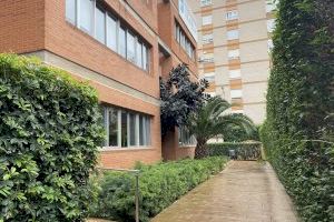 Los colegios de Fomento Vilavella y El Vedat logran el certificado de calidad S+ de seguridad infantil - (foto 4)