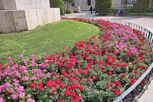Valencia mejora sus parques y jardines y planta 68 árboles en marzo