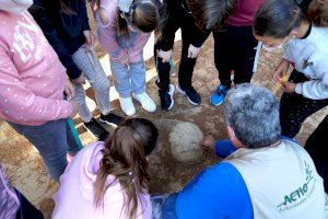 El alumnado de Benetússer aprende a observar y valorar la naturaleza urbana