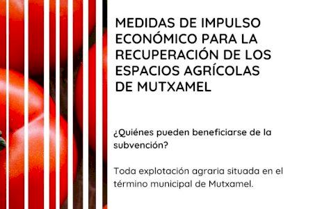 Obertura del termini de presentació de sol·licituds per a la subvenció d'ajudes a agricultors de Mutxamel 2021