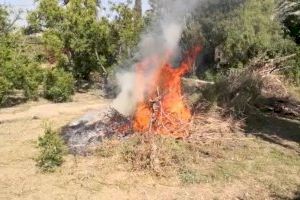 Transición Ecológica ultima las ayudas para promover alternativas a las quemas agrícolas y agilizar la ejecución de los planes locales de prevención