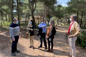 El Museo de la Biodiversidad de Ibi acoge la exposición Universo del sabor organizada por la Cátedra Carmencita de la Universidad de Alicante
