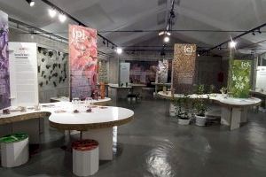 El Museo de la Biodiversidad de Ibi acoge la exposición Universo del sabor organizada por la Cátedra Carmencita de la Universidad de Alicante - (foto 3) El Museo de la Biodiversidad de Ibi acoge la exposición Universo del sabor organizada por la Cátedra Carmencita de la Universidad de Alicante - (foto 3)