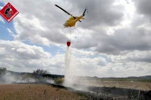 Mor cremat al Pinós intentant extingir una crema agrícola que s'ha descontrolat