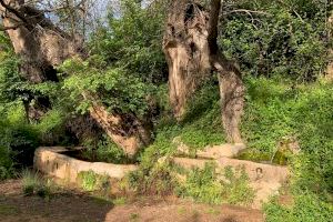Les Coves de Vinromà sol·licita una subvenció per a la millora de la zona del Molinet