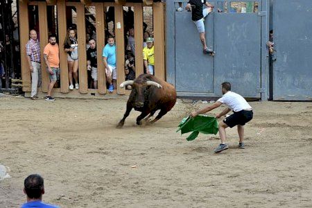 Vila-real reserva una plaza portátil para garantizar el ‘bou’ en septiembre si las restricciones impiden celebrar festejos en la vila