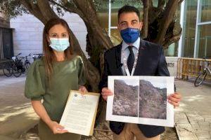 El PP denunciará al Botànic en Europa si sigue sin actuar frente a la expansión del Cactus de Arizona en la sierra de Orihuela