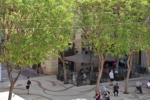 Luz verde a las normas que regulan las terrazas de Elche tras su peatonalización